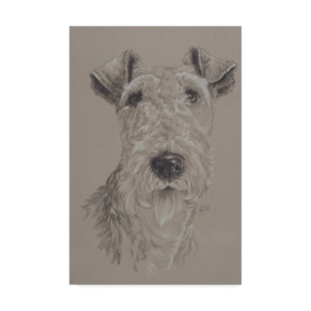 Barbara Keith 'Wire Fox Terrier' Canvas Art,16x24